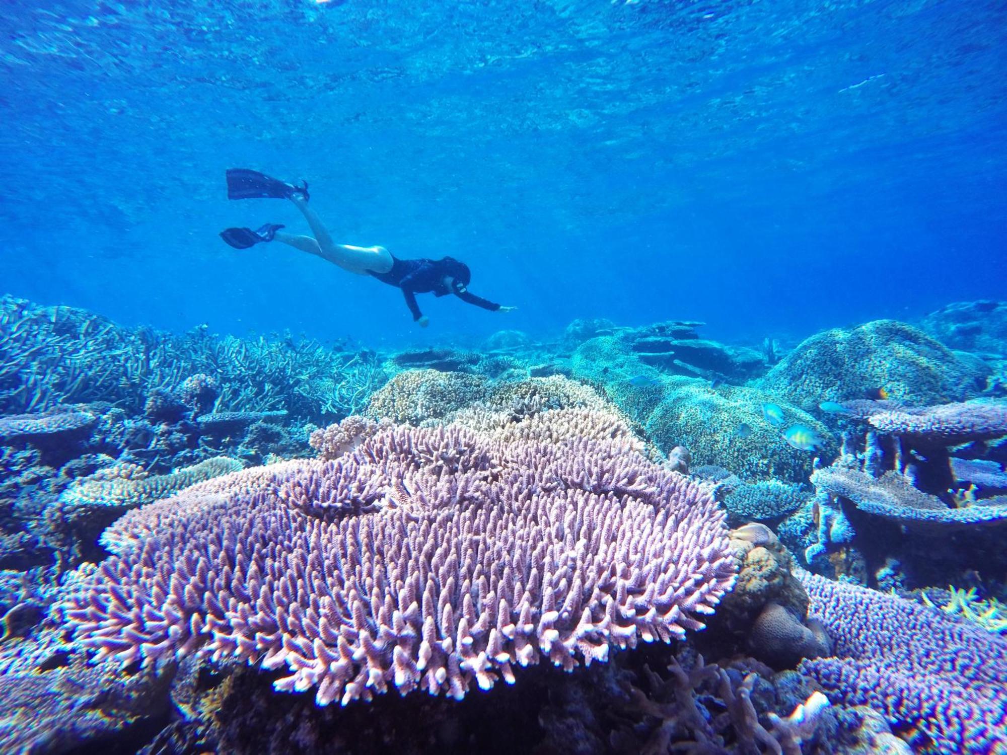 Bolilanga Island Resort - Togean Island Angkayo Экстерьер фото